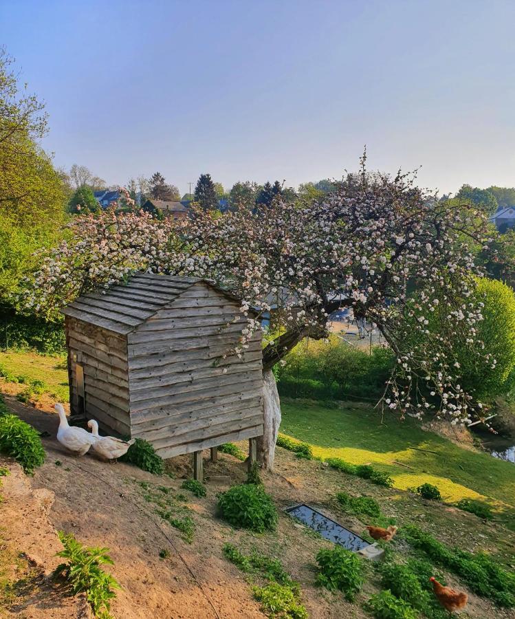 La Maison Du Sabotier Custinne Экстерьер фото