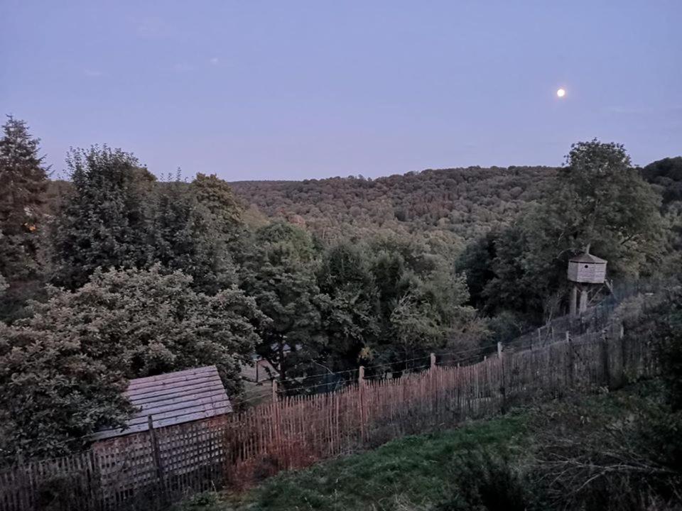 La Maison Du Sabotier Custinne Экстерьер фото